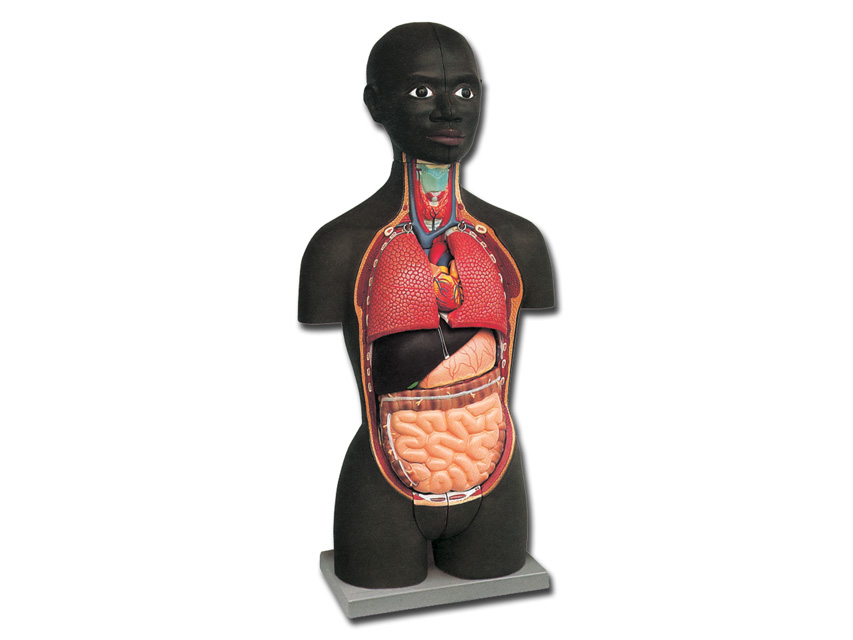 5 MINI TORSO - african - 16 parts