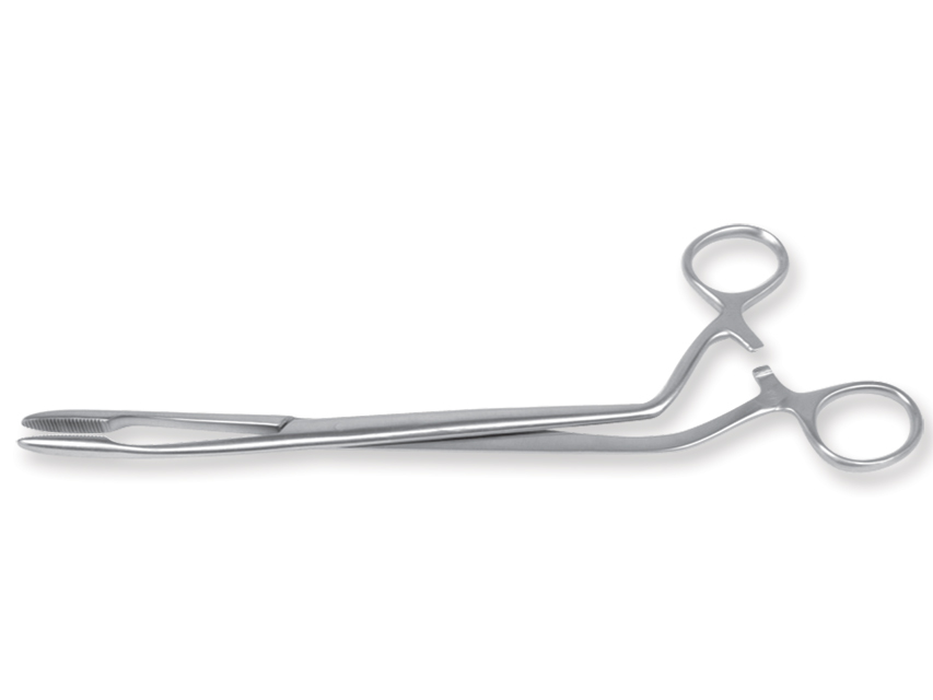 Spailes, Cheron spailes 25 cm