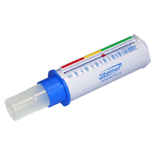 Spirometrija, Izelpas plūsmas mērītājs
