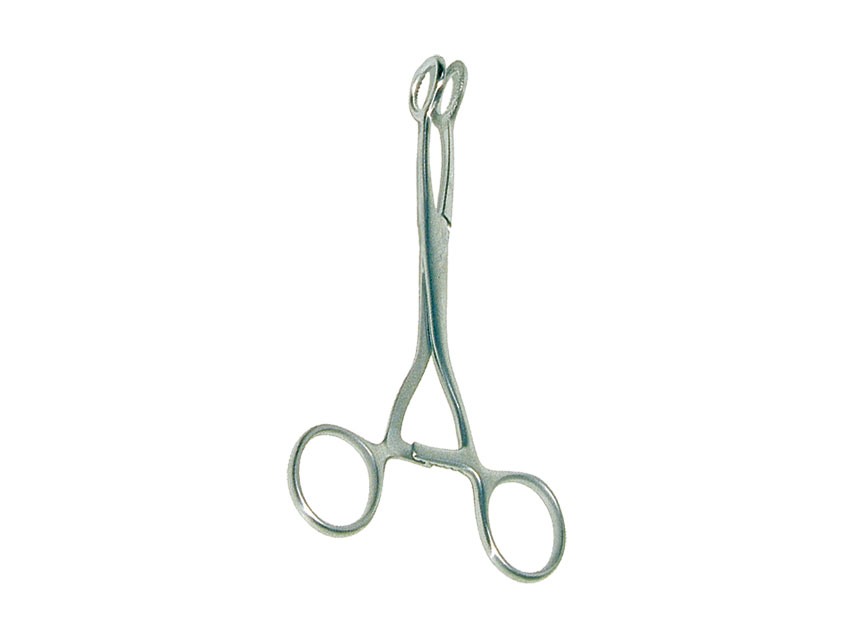 Spailes, Collin knaibles - 20 cm
