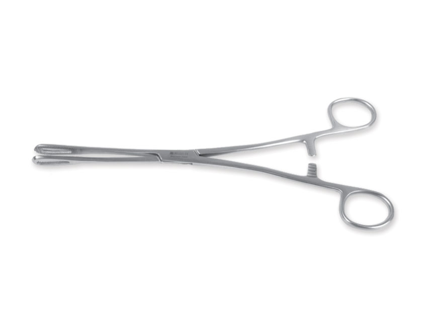 Spailes, Spailes Ramley 18 cm