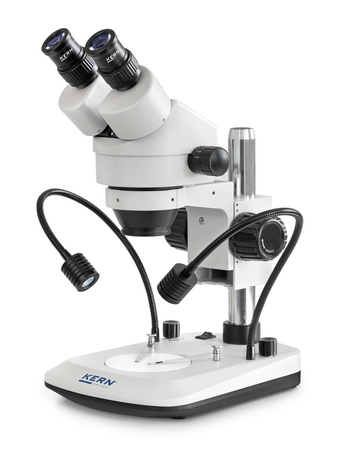 Stereomicroscopes