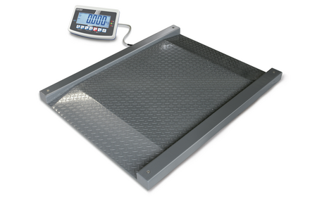 drive-through-scales, NFB-1T-1AM