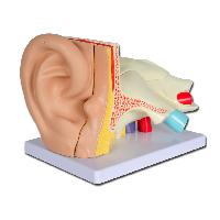 Value EAR - 5 daļas - 3X