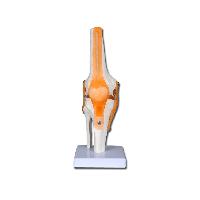 4 VALUE KNEE JOINT