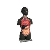 5 MINI TORSO - african - 16 parts