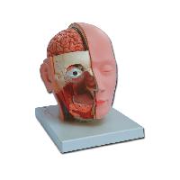 0 HEAD - 4 parts