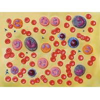 6 BLOOD CELLS - 2000X