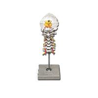 5 CERVICAL SPINAL COLUMN