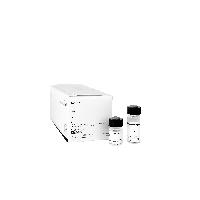 Microbiologics references kultūras