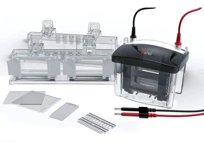 Elektroforeza